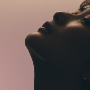 精品一区二区在线视频
