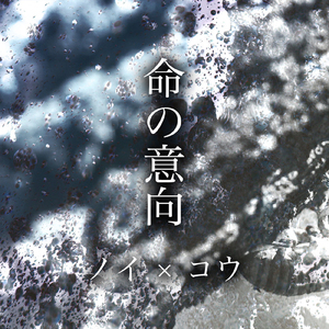 欧美午夜嘿嘿在线
