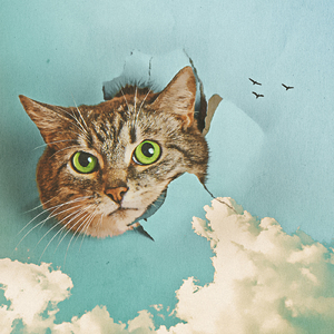 叶玉卿早期超大尺度写真视频
