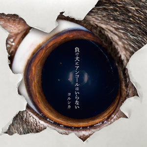 国产操丝袜大奶妹
