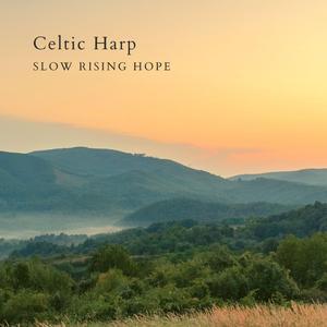 少妇做爰全过程毛
