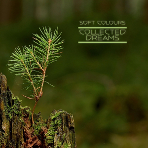 欧美xxxx做受人妖
