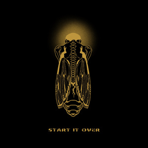 我看免费操逼视
