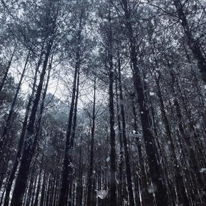 美女直播扒开大腿给你看BB
