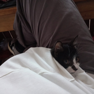 国产精品久久久久久福利漫画
