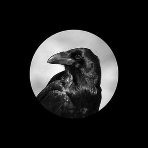 韩国中国最漂亮最漂亮最漂亮的美女刺激黄色网
