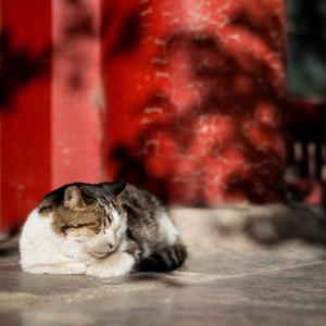 阴影黄片日逼的
