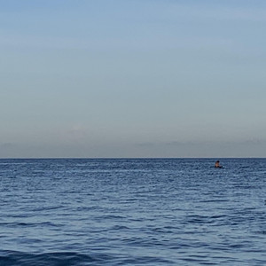 懒猫漫画免费浏览入口网页版
