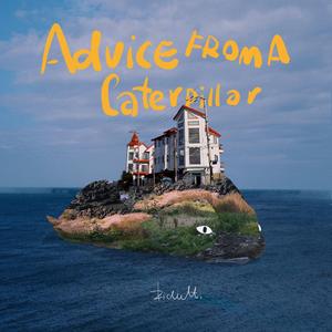 36种标准插法网站
