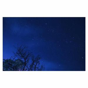 穿情趣内衣上学要注意什么
