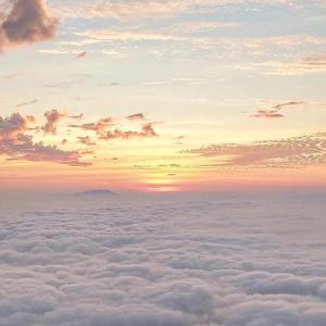 狗与猪锁住视频大全原声一
