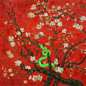 国产老女人日逼
