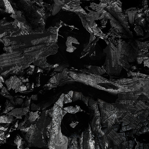 苍井空最好看的黄色电
