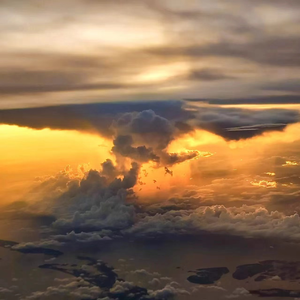 成年人免费网站视频
