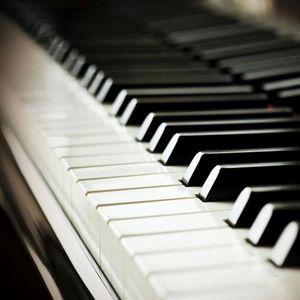 国产一级A片毛毛天码美女视频
