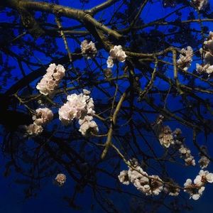 13女学生脱了内裤开始亲热
