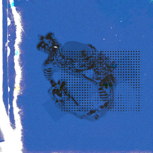 肥白大肚子孕妇
