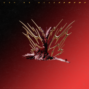 屌大屄骚日操视频
