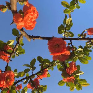 香焦app成人线上观看
