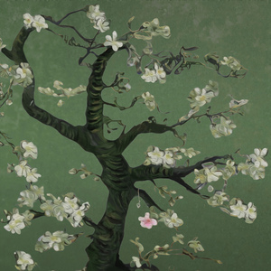 小舞吃巴雷特视频大全集在线
