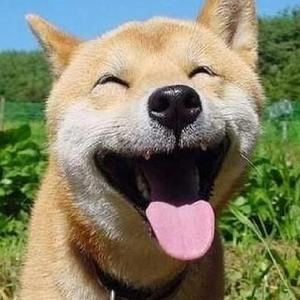 男女在浴缸里摸胸视频
