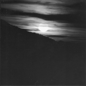 欧美美女日妣无遮挡
