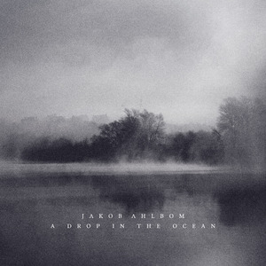 that p的结构黄色电影黄色的片子黄色片
