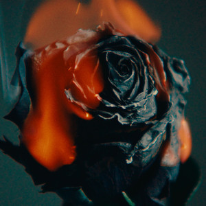 熟女丰满多毛大陰户
