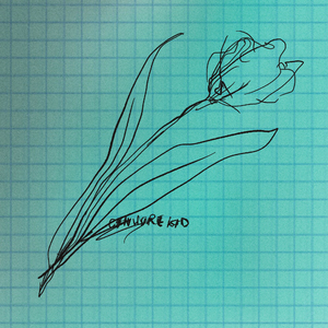 中国媚黑在线播放网站
