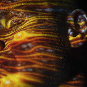 浅井舞香Av一区二区
