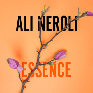 做受❌❌❌高潮AAAA游戏
