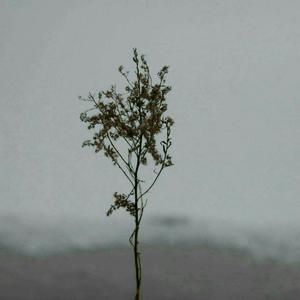 插插欧美综合网
