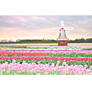 双飞两女视频一区二区
