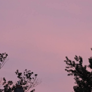 pornop日本XX精派
