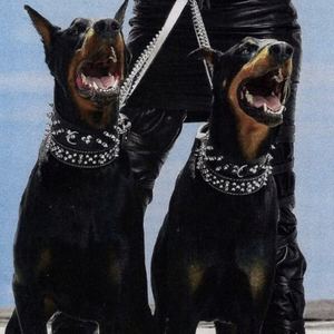 宅男视频在线网站
