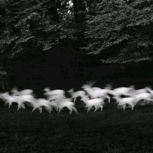 我的暴露日记第二部
