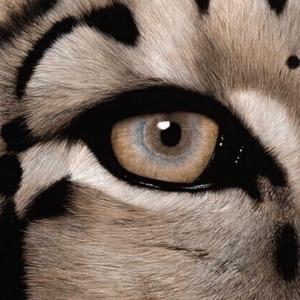 女性脱👙给我揉🐻的软
