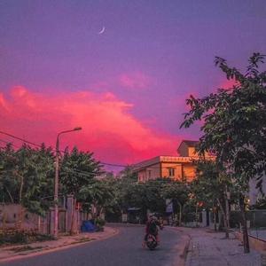 视频在线观看一区
