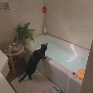 苍井空最好看的黄色电
