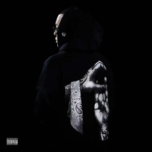 荷兰日B赛现场录像回放
