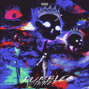 免费搭建小驴导航
