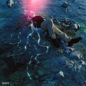 达达兔午夜一级毛片
