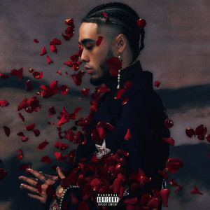 亚洲成H人AV无码动漫无遮挡
