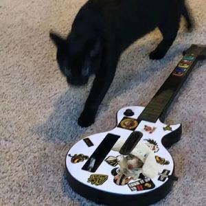 狠狠色婷婷久久一区二区三区
