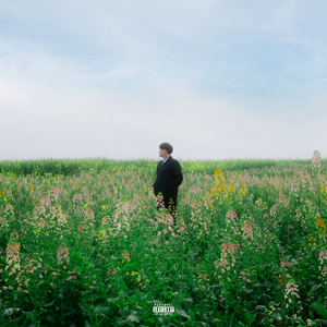 丈母娘和女婿的三级片看一下
