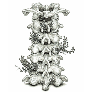 多强被❌c到爽🔞H网站
