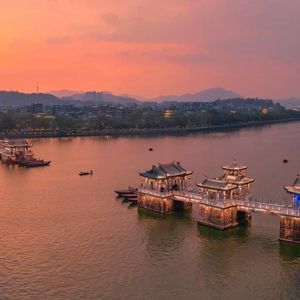 狗与猪锁住视频大全原声一
