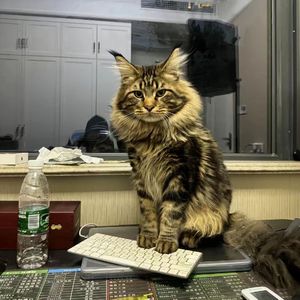 白丝❌jk❌乳❌❌3D。
