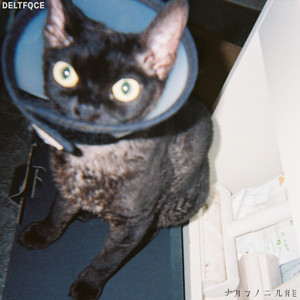 AV中文无码乱人伦在线观看
