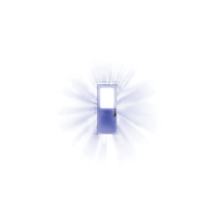 李丽珍的奶头真大
